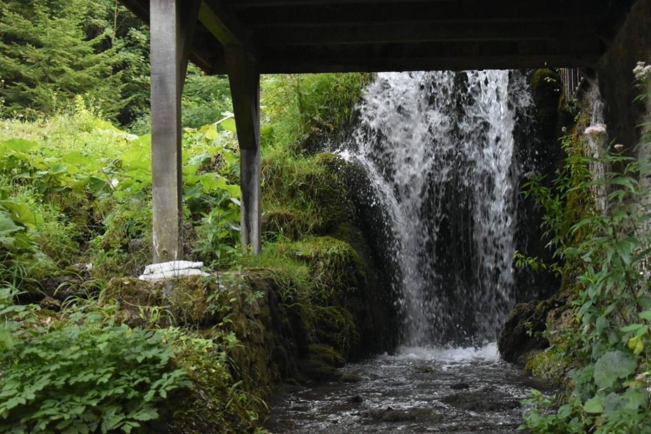 הוילה Plitvička Jezera Wooden House With A Waterfall "Stipanov Mlin" מראה חיצוני תמונה